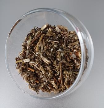 Beifuß, geschnitten